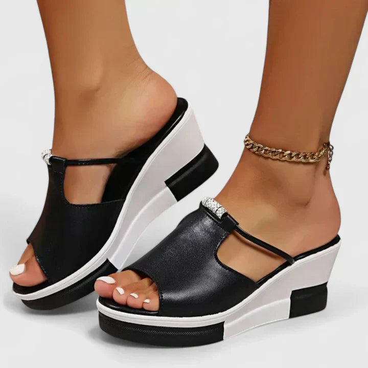 #Color_Negro